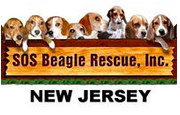 SOS Beagle Rescue (Atco, New Jersey) logo is eight beagles looking over a banner with the organization name on it