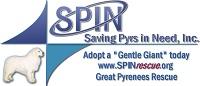 Saving Pyrs in Need (Garland, Texas) logo is a Great Pyrenees dog, two triangle shapes, “SPIN” and organization information