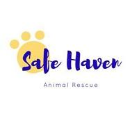 Safe Haven Animal RescuE (Lafayette, Louisiana) logo is a yellow pawprint made of circles and the organization name
