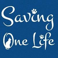 Saving One Life (Chandler, Arizona) | logo of SOL, Saving One Life, black cat, paw prints 
