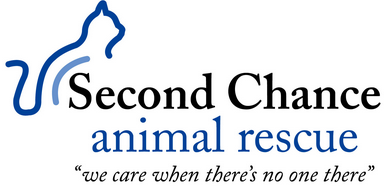 Second Chance Animal Rescue (Littleton, New Hampshire) | logo of blue cat, we care when there’s no one there, second chance
