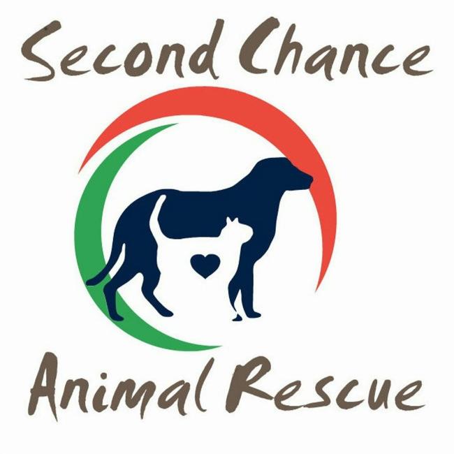 Second Chance Animal Rescue (Georgetown, South Carolina) logo dark taupe lettering on top and bottom middle is a circle comprised of one red crescent one green crescent to make a circle navy silhouette of dog with layered white silhouette of cat with navy heart