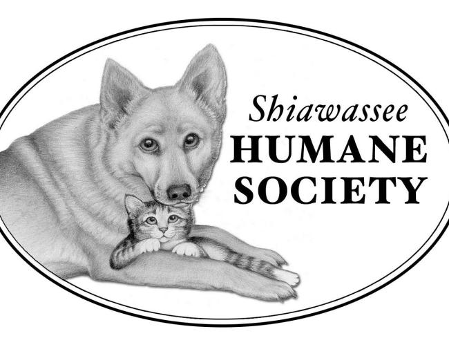 Shiawasse County Humane Society (Owosso, Michigan) logo drawn black and white full detail portrait of dog laying down with cat between front paws black lettering to the right