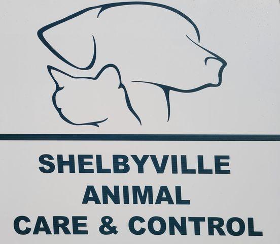 Shelbyville Animal Control, (Shelbyville, TN) logo dog head silhouette with blue outline and blue text