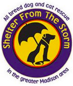 Shelter from the Storm Animal Rescue Inc (Madison, Wisconsin) | logo of yellow circle, black dog, yellow cat, black umbrella