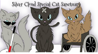 Silver Cloud Special Cat Services (Walla Walla, Washington) | logo of three cats, blind, wheelchair, injured, sanctuary