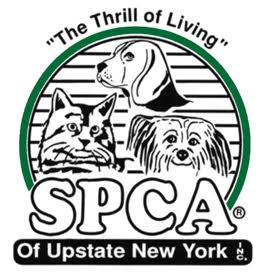 Society for the Prevention of Cruelty to Animals of Upstate New York, Inc.,  Queensbury, New York