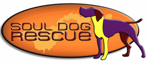 Soul Dog Rescue (Fort Lupton, Colorado) | logo or orange oval, purple dog, yellow leg, soul dog rescue