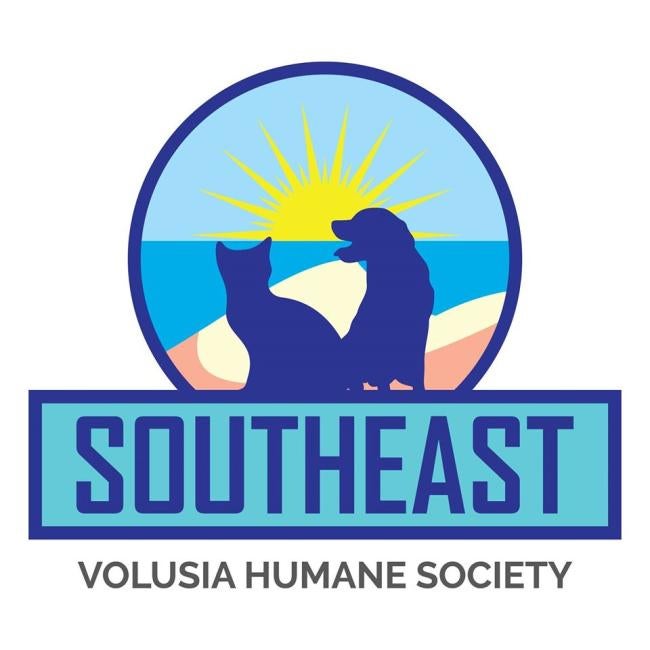 Southeast Volusia Humane Society (New Smyrna Beach, Florida) logo dog cat sunshine on beach