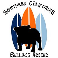 Southern California Bulldog Rescue (Santa Ana, California) | logo of black bulldog, surfboards, S California Bulldog Rescue