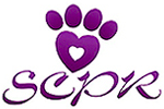 Southern California Pomeranian Rescue (Irvine, California) | logo of purple heart, pawprint, SCPR