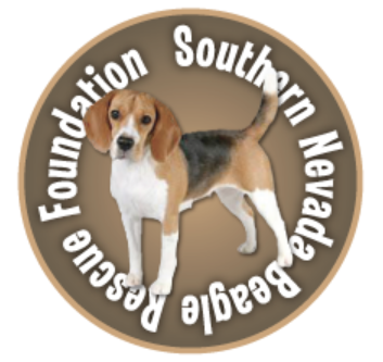 Southern Nevada Beagle Rescue Foundation (Las Vegas, Nevada) logo with beagle in the middle of a circle on brown background