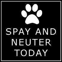 Spay and Neuter Today (Kill Devil Hills, North Carolina) logo is a pawprint and the org name in white on a black background