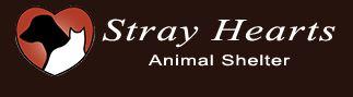 Stray Hearts Animal Shelter (Taos, New Mexico) logo is a white cat and black dog inside a heart next to the organization name