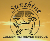 Sunshine Golden Retriever Rescue (Port Washington, New York) logo is the outline of a golden retriever in front of the sun