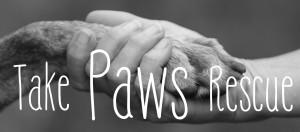 Take Paws Rescue (New Orleans, Louisiana) | logo photo of person's hand holding a dog paw, text Take Paws Rescue