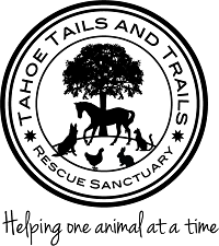 Tahoe Tails and Trails Rescue Sanctuary (Stateline, Nevada) | logo of black tree, horse, dog, cat, duck, rabbit, circle
