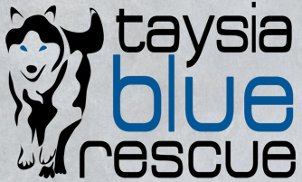Taysia Blue Rescue (Omaha, Nebraska) | logo of black and white siberian husky, blue eyes, Taysia Blue Rescue