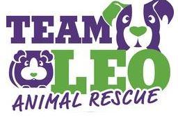 Team Leo Animal Rescue, (Vail, Colorado) Logo dog and critter face in purple and green with purple and green text