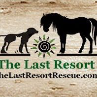 The Last Resort (Hewitt, New Jersey) | logo of horse, dog, cat, sun, sunrays, The Last Resort text