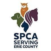 The SPCA Serving Erie County (West Seneca, New York) logo dog cat horse and owl
