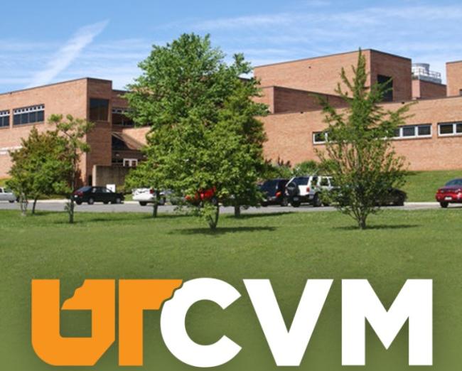 University of Tennessee College of Veterinary Medicine, (Knoxville, Tennessee), photo of building with grass in front and yellow and white letters