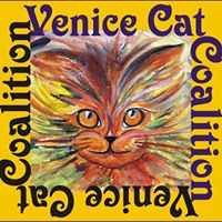 Venice Cat Coalition (Venice, Florida) | logo of painted, sketched multicolor cat head, text Venice Cat Coalition