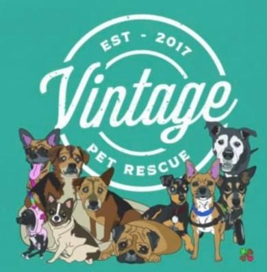 Vintage Pet Rescue, (North Kingstown, Rhode Island), logo white circles with white text above group of senior dogs