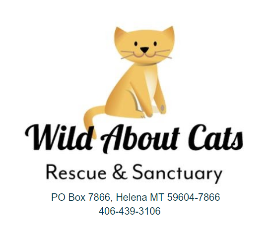 Wild About Cats Rescue and Sanctuary (Helena, Montana) logo drawn smiling cat with light shades of tan in the sitting position centered above black lettering