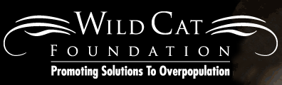 Wild Cat Foundation (Lafayette, Louisiana) | logo of whiskers, text Wild Cat Foundation, promoting solutions to overpopulation