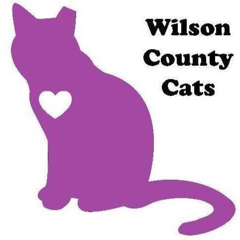 Wilson County Cats (Floresville, Texas) logo large magenta silhouette of cat with ear tipped small white heart black lettering