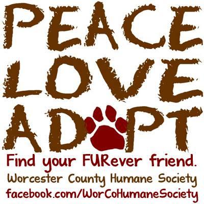 Worcester County Humane Society (Berlin, Maryland) logo peave love adopt
