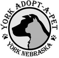 York Adopt-A-Pet (York, Nebraska) | logo of black dog, grey cat, circle, paw prints, York Adopt-A-Pet, York, Nebraska