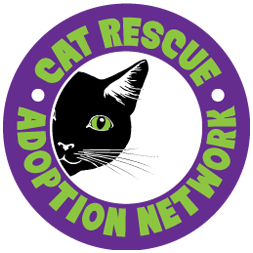 Cat Rescue & Adoption, Springfield, Oregon | Best Friends Animal Society