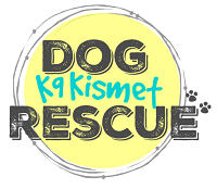 K9 Kismet Rescue (Inglewood, California) logo has “k9 kismet” in between the words “DOG RESCUE” inside a circle