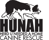 Herd U Needed a Home Rescue (Bend, Oregon) logo of black & white herding dog on top of HUNAH