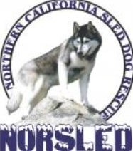 Northern California Sled Dog Rescue (Norsled), (Walnut Creek, California) logo black and white dog in blue circle with white