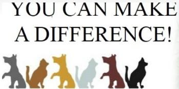 youcanmakeadifference, Inc. (Gretna, Florida) logo dogs and cats