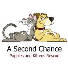 A Second Chance Puppies and Kittens Rescue, (Royal Palm Beach, Florida), logo cartoon grey cat leaning against yellow dog above black text