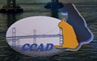 Chesapeake Cats and Dogs (Stevensville, Maryland) logo with CCAD in blue with Chesapeake Bay bridge and orange cat and black dog