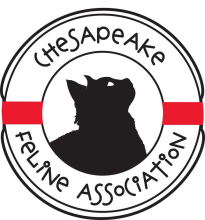 Chesapeake Feline Association (North East, Maryland) logo of black cat in center of round life preserver