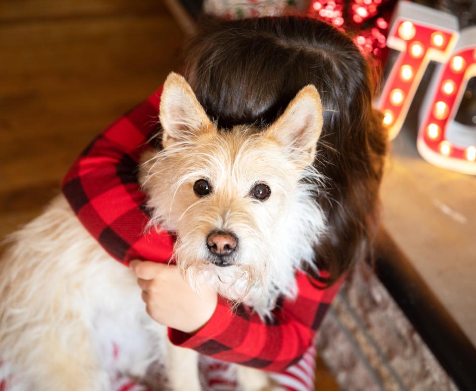 Person hugging a dog