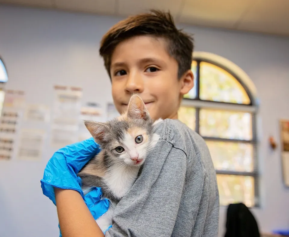 Smiling volunteer holding a tiny kitten