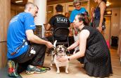 clear-shelters-7826_rs-blogbf.jpg