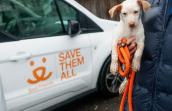 Person holding a puppy on an orange leash next to a Best Friends-branded vehicle
