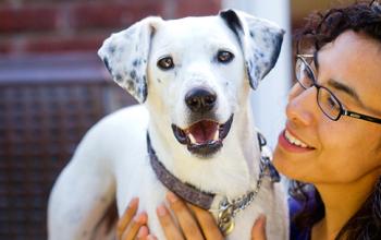 White dog with spotted ears. Spay and neuter is key to controlling the pet population.