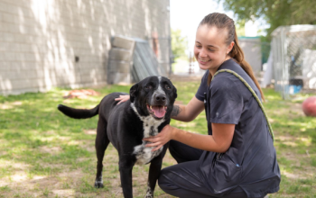 shelter animal caregiver with a black dog in a play yard area
