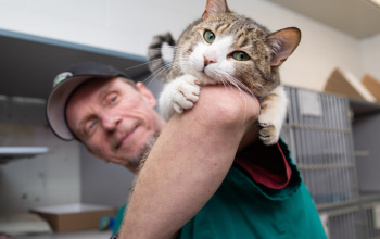 Man with cat resting on his elbow 