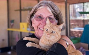 Woman in black shirt holding orange cat