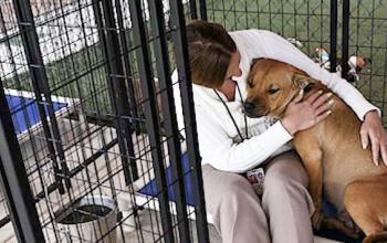 A woman sits in a kennel with her arms wrapped around a dog